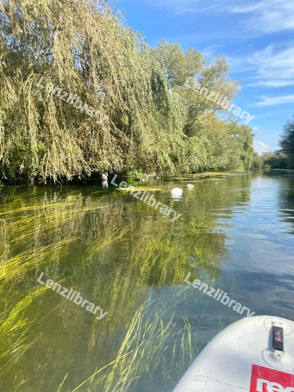 River View